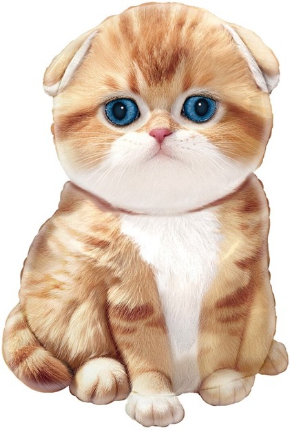 Шар Фигура, Рыжий котенок