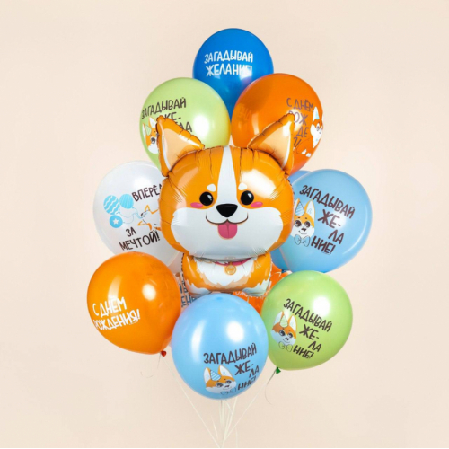 Букет из шаров «Волшебный пес»
