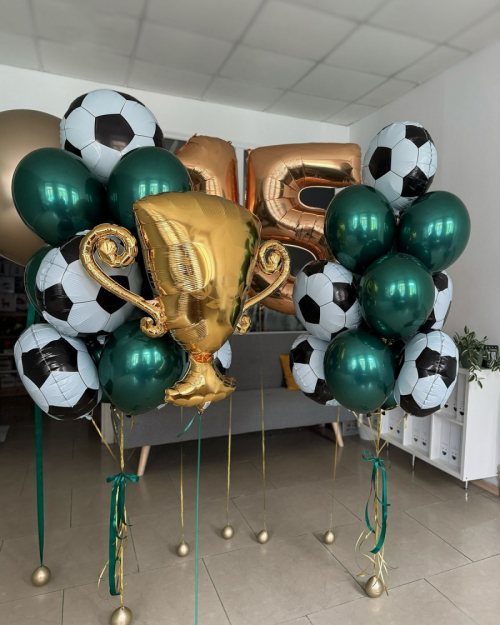 Готовое решение «Футбольный чемпион»